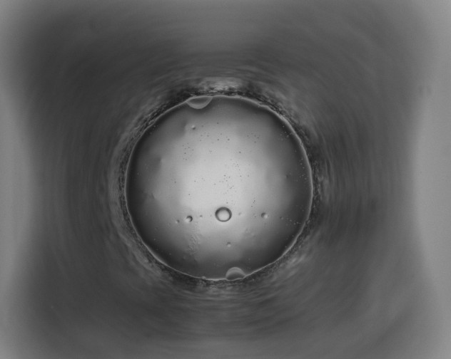 X0000113761393200909301100