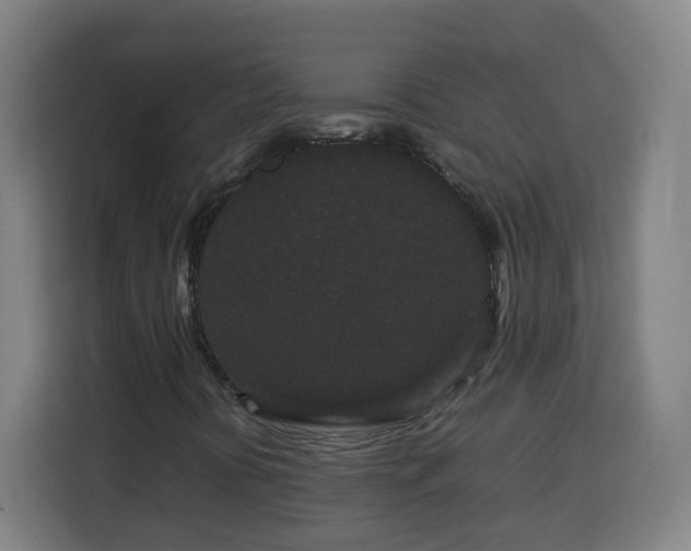 X0000113761394200909301100