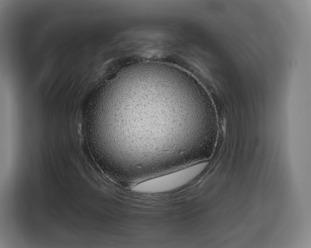 X0000113761396200909301100