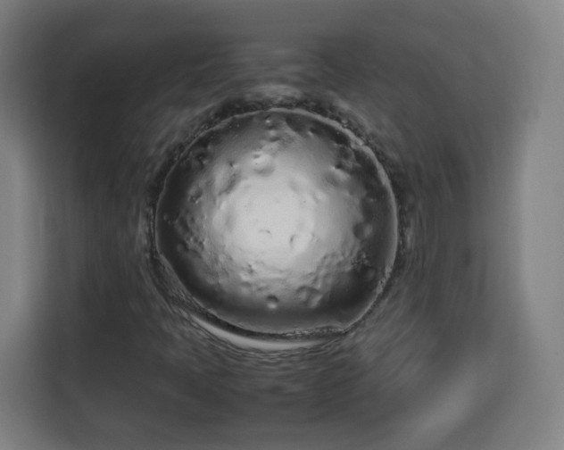 X0000113761397200909301100