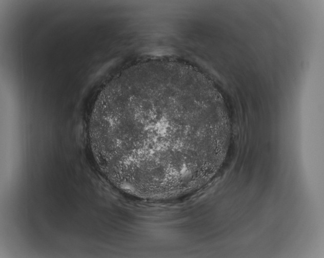 X0000113761398200909301100