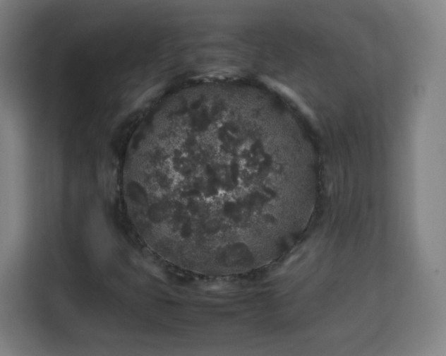 X0000113761399200909301100