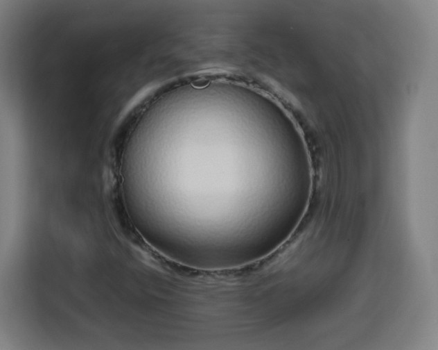 X0000113761400200909301100