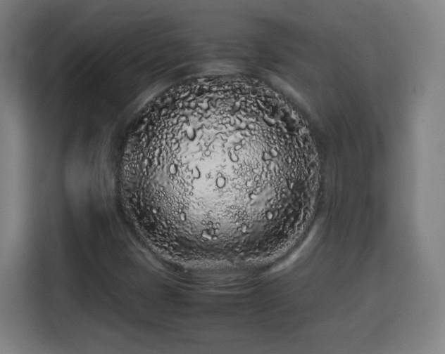 X0000113761401200909301100