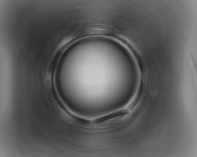 X0000113761402200909301100