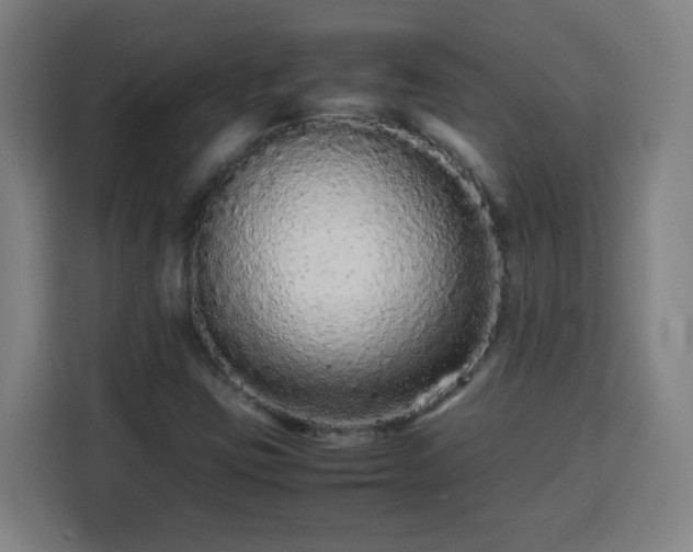 X0000113761403200909301100