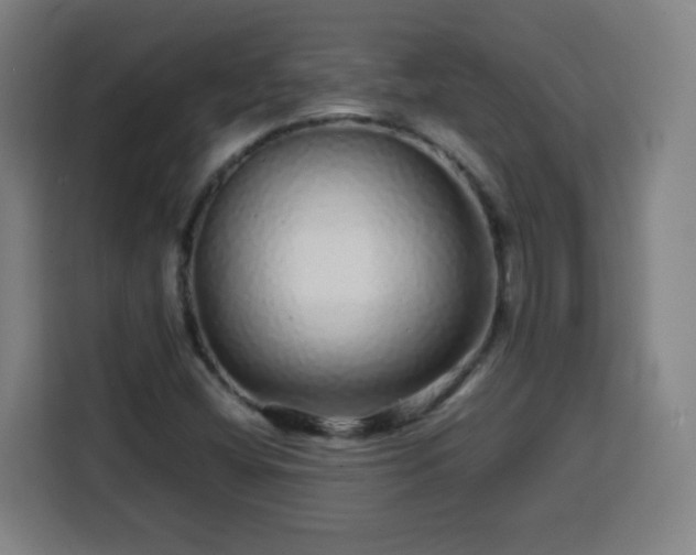 X0000113761404200909301100