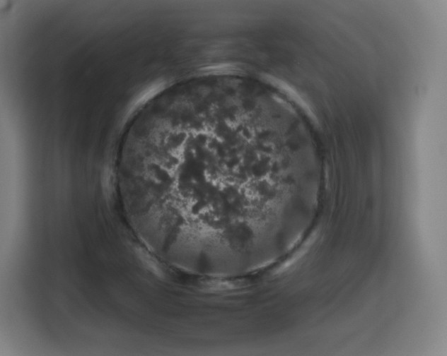 X0000113761405200909301100