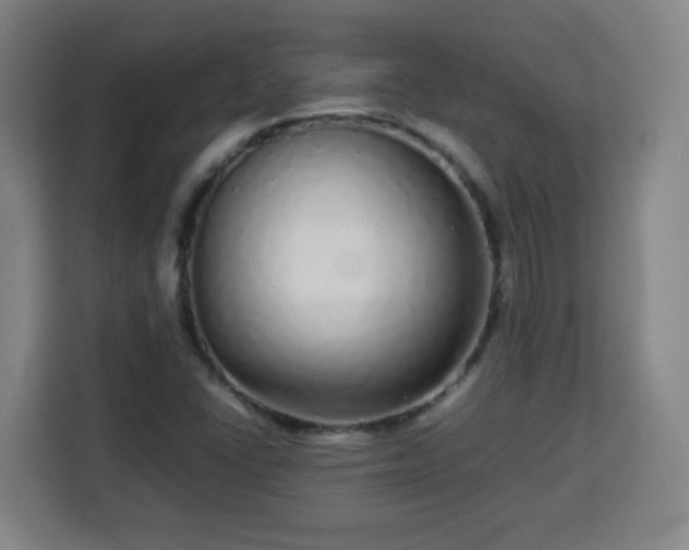 X0000113761406200909301100