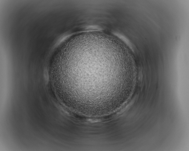 X0000113761407200909301100