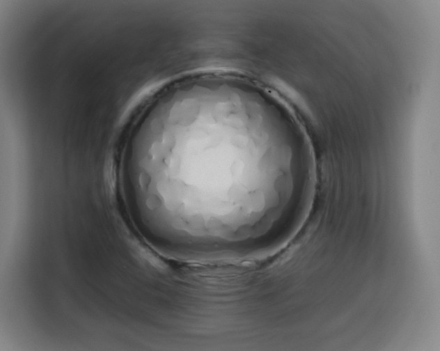 X0000113761408200909301100