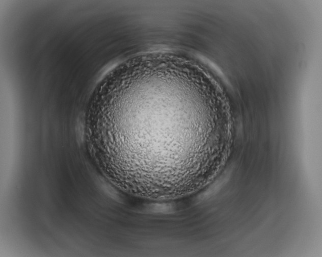 X0000113761409200909301100