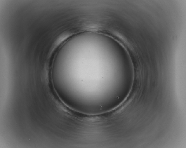X0000113761410200909301100