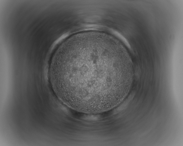 X0000113761411200909301100