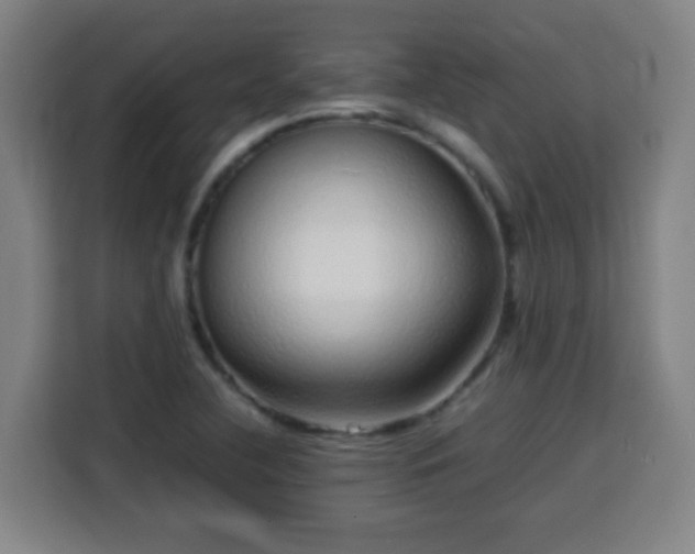 X0000113761412200909301100