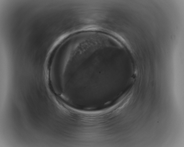 X0000113761414200909301100