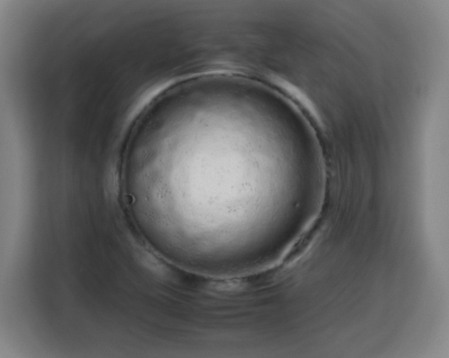 X0000113761415200909301100