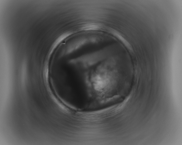 X0000113761418200909301100
