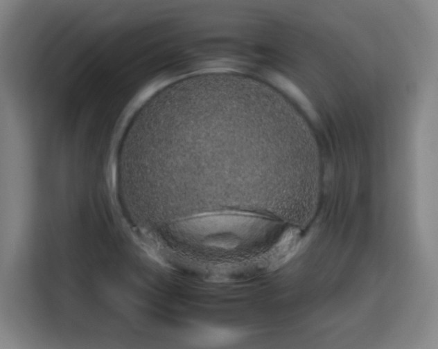 X0000113761419200909301100