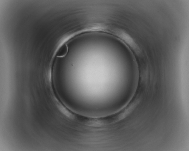 X0000113761420200909301100