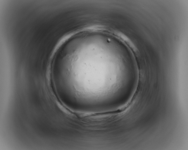 X0000113761421200909301100