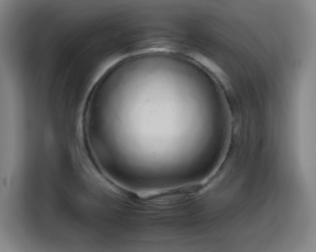 X0000113761423200909301100