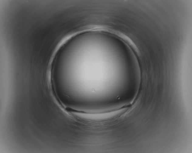 X0000113761424200909301100