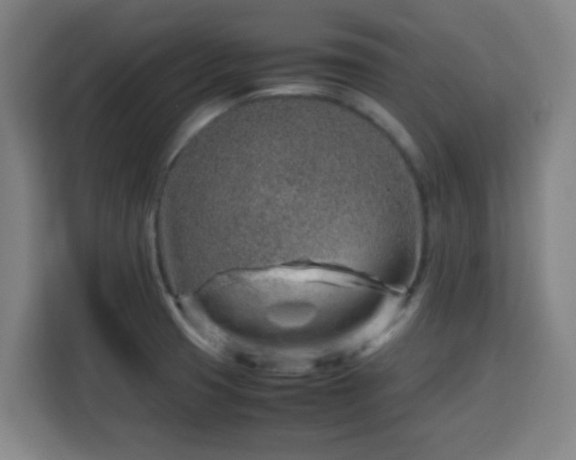 X0000113761425200909301100