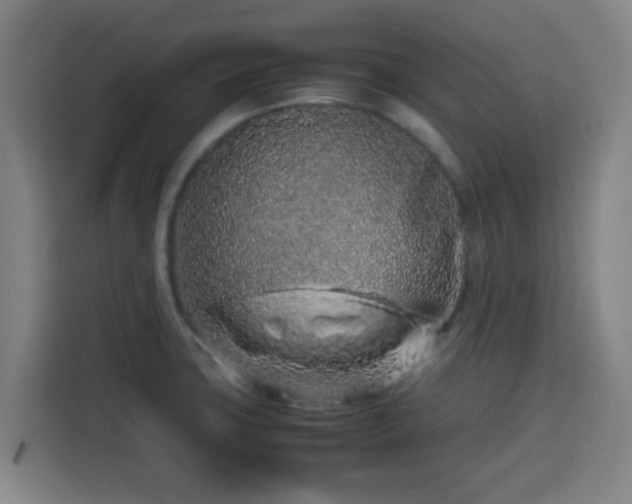 X0000113761427200909301100