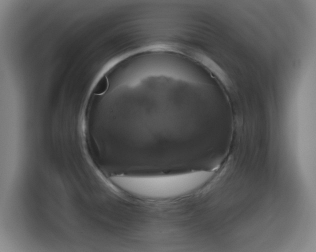 X0000113761428200909301100