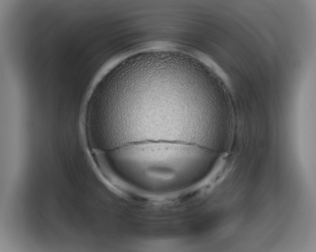 X0000113761429200909301100