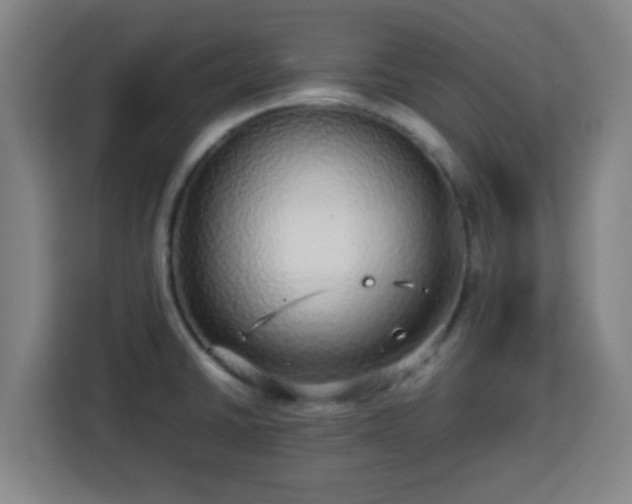 X0000113761430200909301100