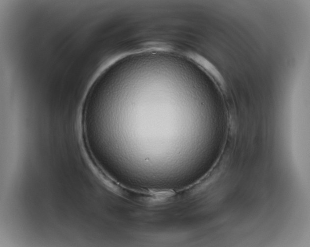 X0000113761431200909301100