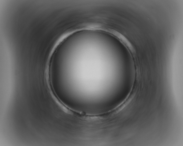 X0000113761432200909301100