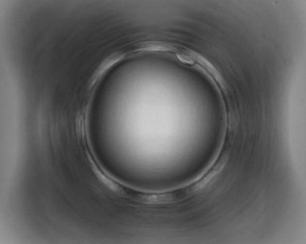 X0000113761433200909301100