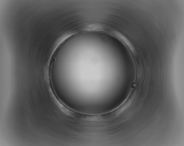 X0000113761434200909301100