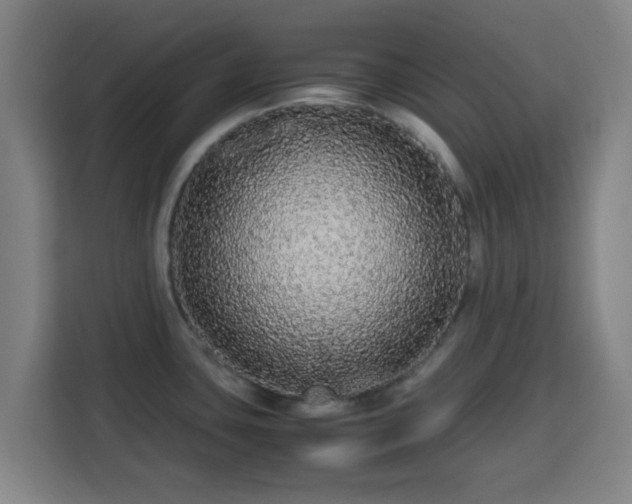X0000113761435200909301100