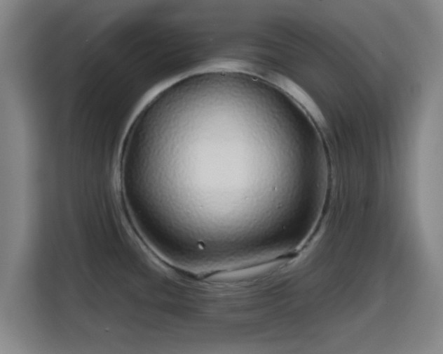 X0000113761436200909301100