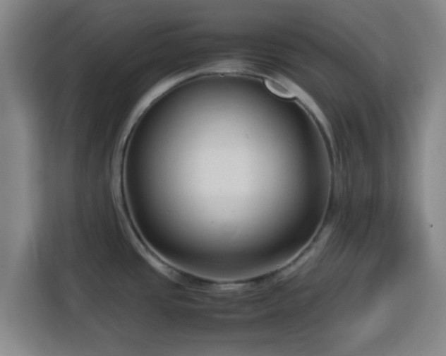 X0000113761437200909301100