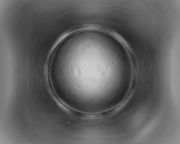X0000113761438200909301100