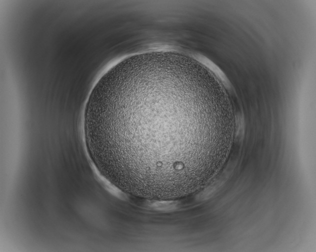 X0000113761439200909301100