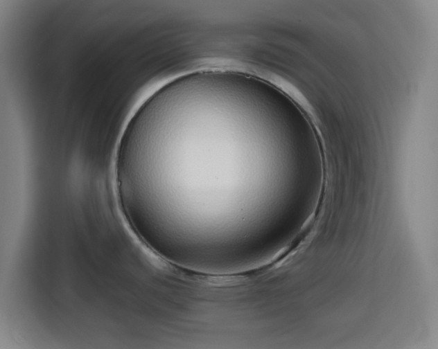 X0000113761440200909301100