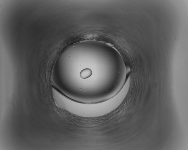 X0000113761441200909301100