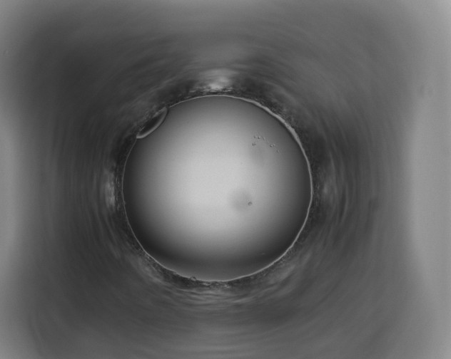 X0000113761442200909301100