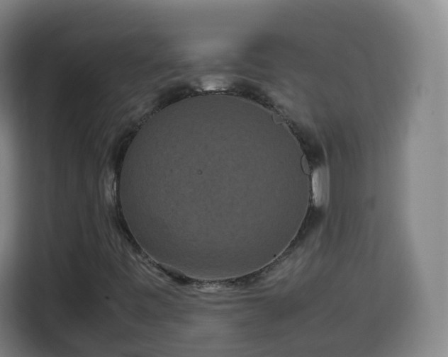 X0000113761443200909301100