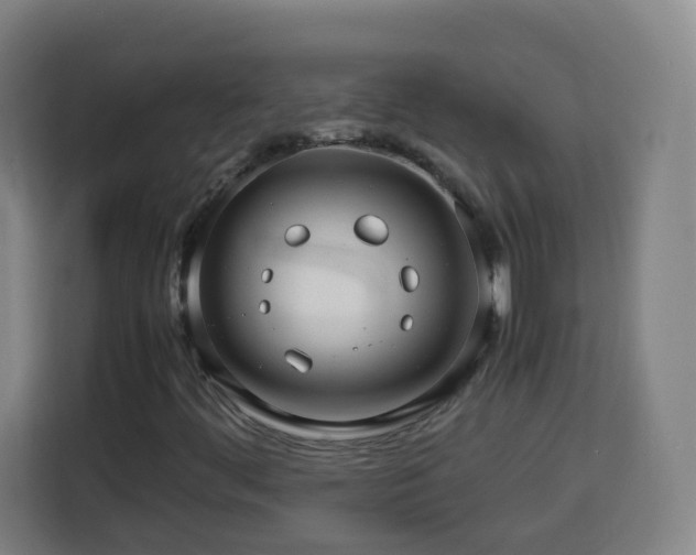 X0000113761444200909301100