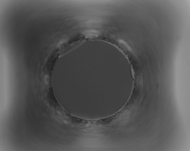 X0000113761445200909301100
