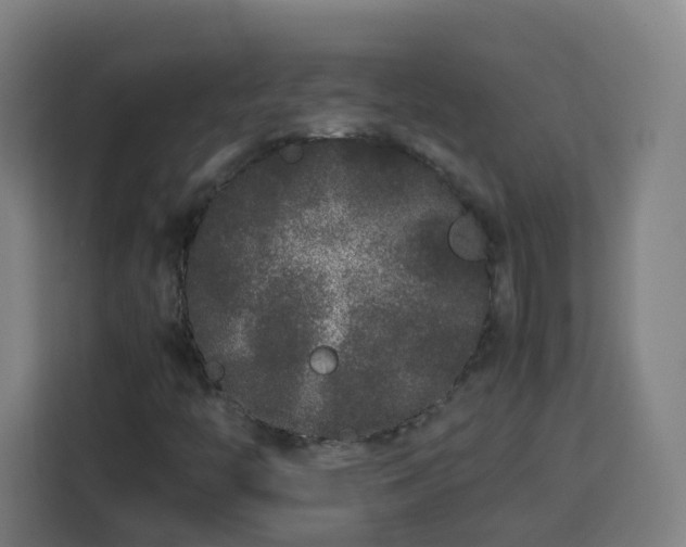 X0000113761446200909301100