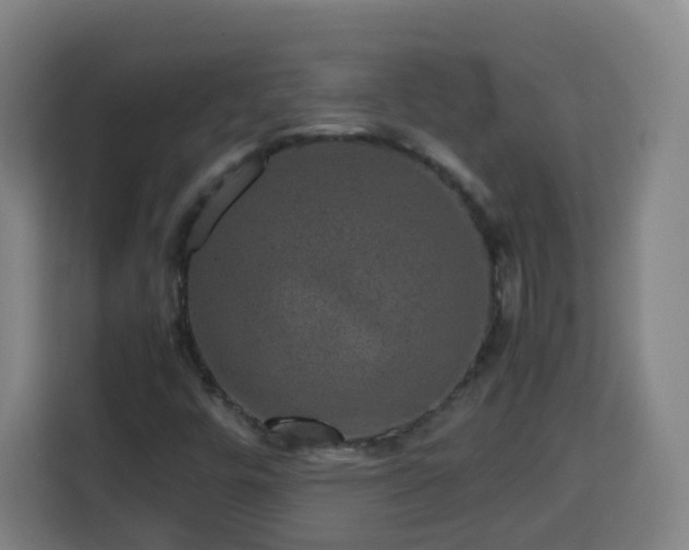 X0000113761448200909301100
