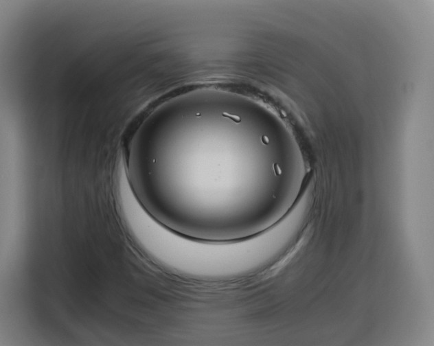 X0000113761449200909301100
